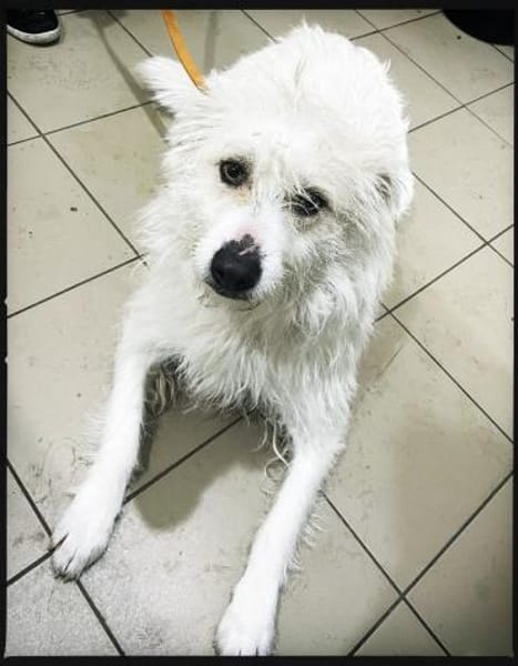 Wartend auf ein Wunder!