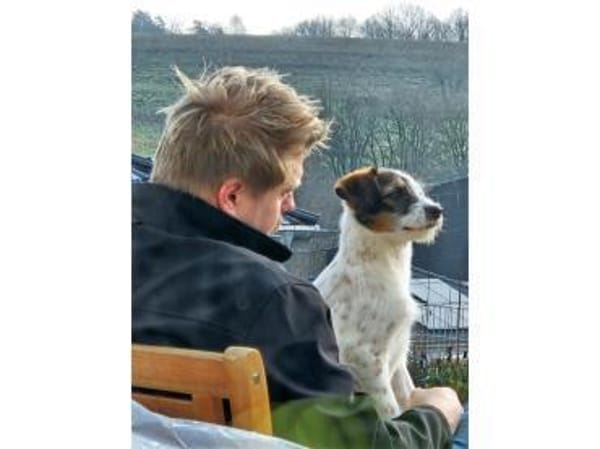 Levya - wartet in 66773 Schwalbach