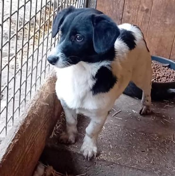 Charmante Barbi sucht warmen Platz