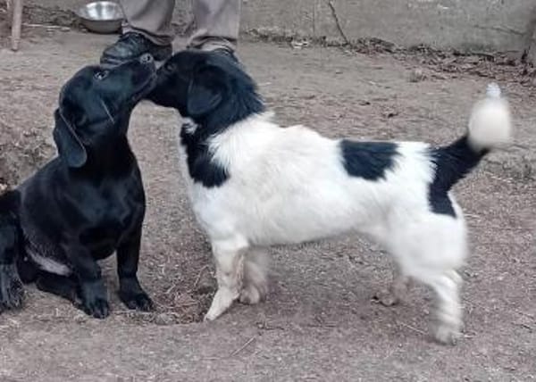 Charmante Barbi sucht warmen Platz