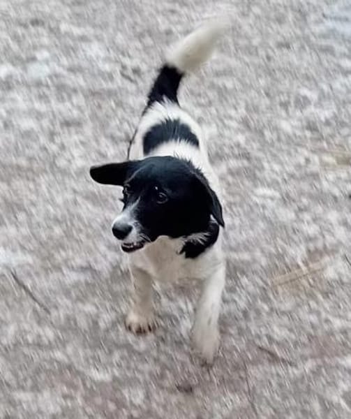 Charmante Barbi sucht warmen Platz