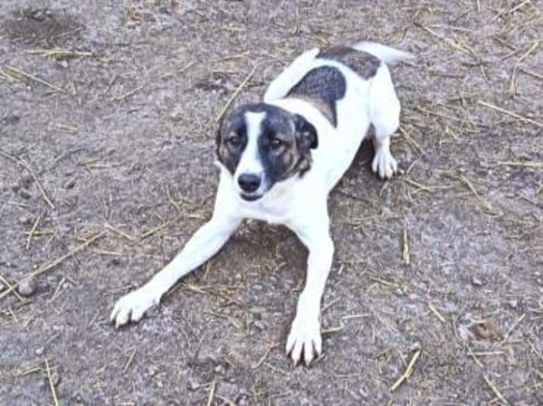 Junge Lexi möchte endlich ankommen