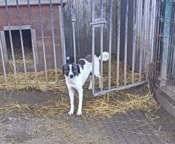 Junge Lexi möchte endlich ankommen
