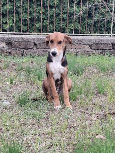 Ettore 💙💙💙 Wer heilt seine Seele?