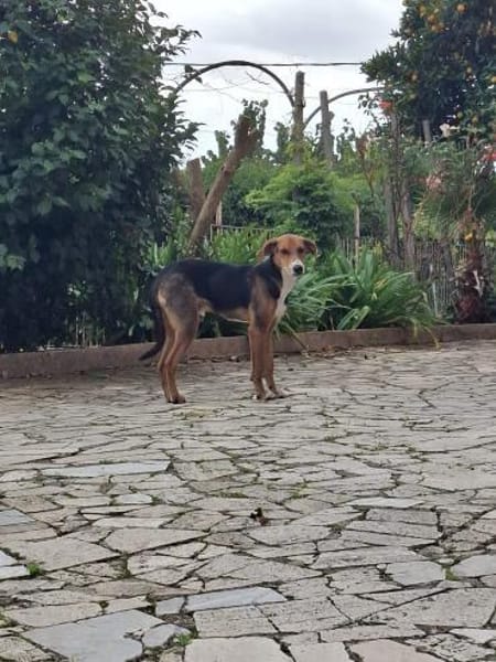 Ettore 💙💙💙 Wer heilt seine Seele?