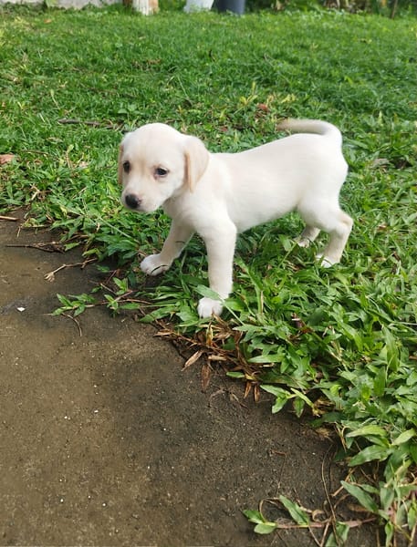Jade, le rayon de soleil
