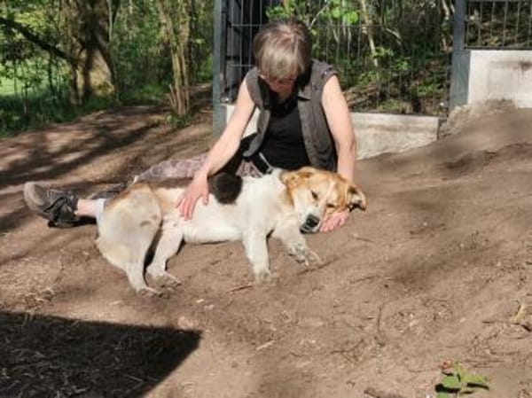 Feinfühliger, sanfter Sami sucht