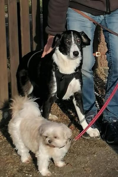 Genießerschnute ♥Mona♥ in 01640 Coswig