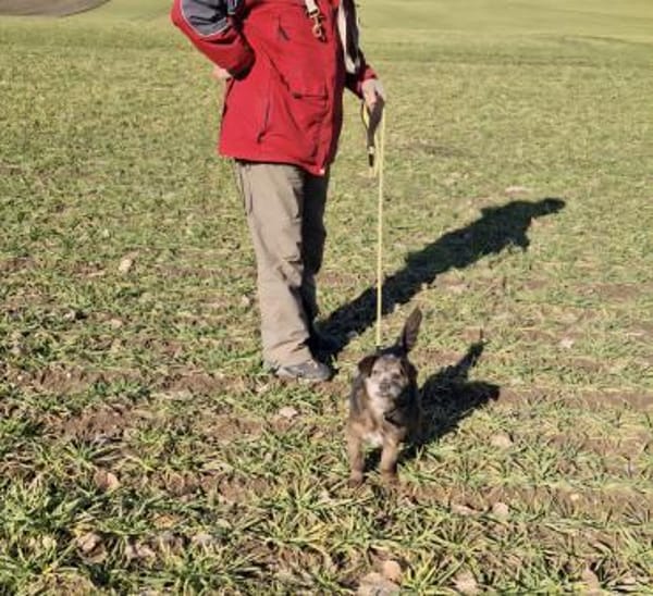 Uschi und Jack - Unzertrennlich
