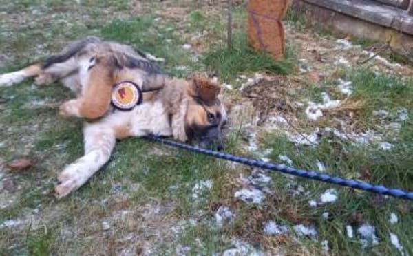 Schenkst du Audrey dein Herz?