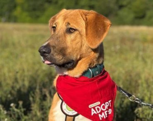 HSH-Mix-Lady♥Suvi♥63911 Klingenberg/Main