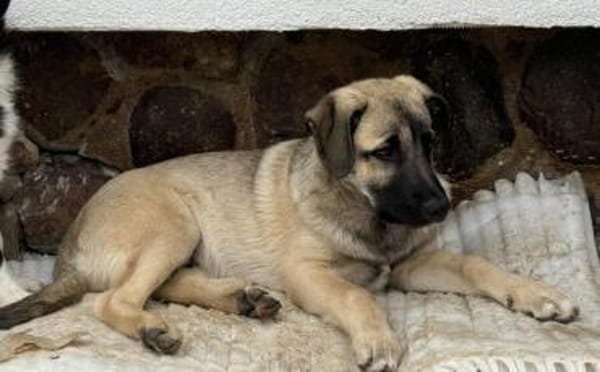 Butschek wartet auf dich!