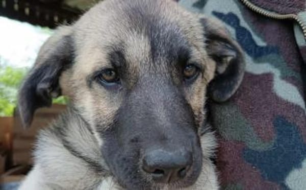 Butschek wartet auf dich!