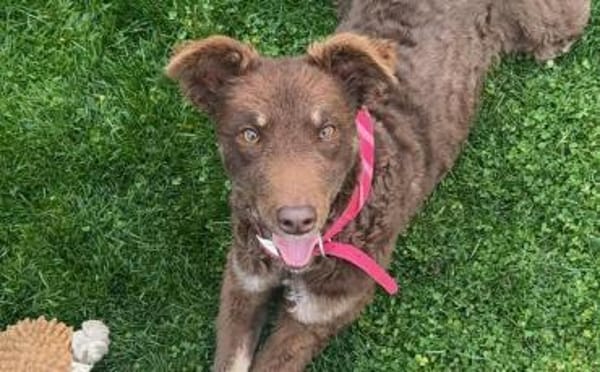 Menschenbezogene Beanie sucht dich