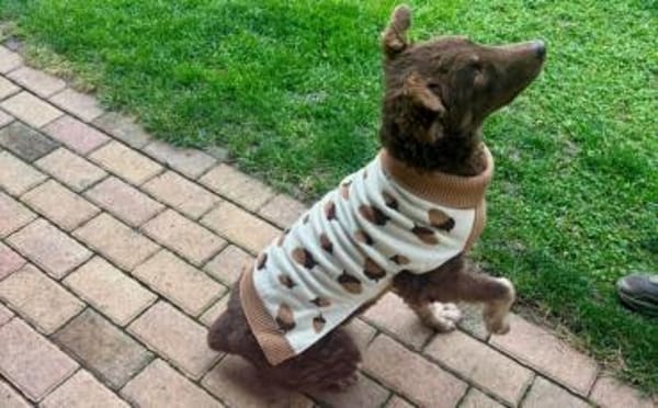 Menschenbezogene Beanie sucht dich