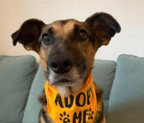 süsser Senior Jürgen