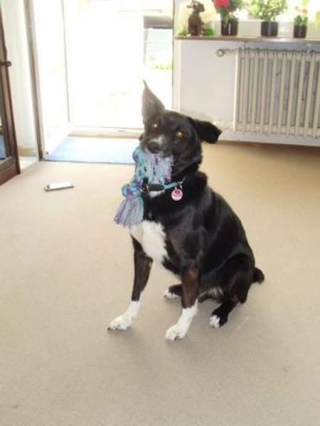 BONO SUCHT ERNEUT NACH EINEM ZUHAUSE