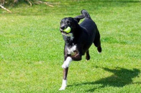 BONO SUCHT ERNEUT NACH EINEM ZUHAUSE