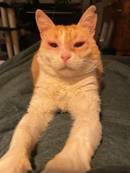 Unsere zarte und verkuschelte Maya