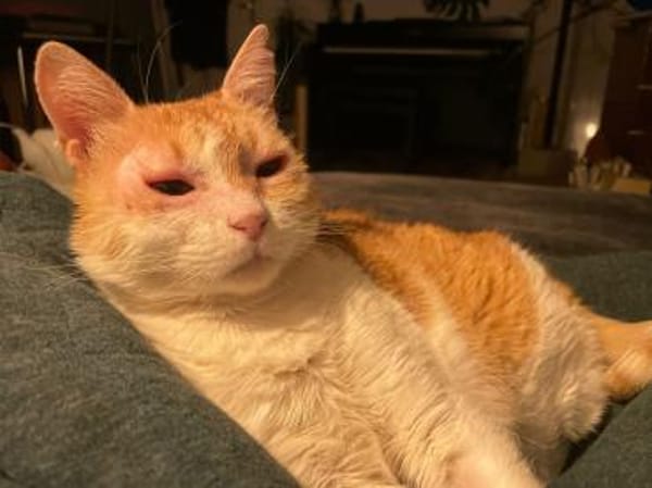 Unsere zarte und verkuschelte Maya