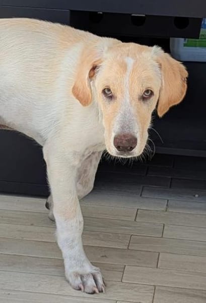 Neo wartet auf seine Familie