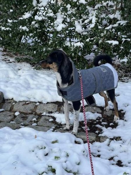 Glenni - Die Aufgeweckte