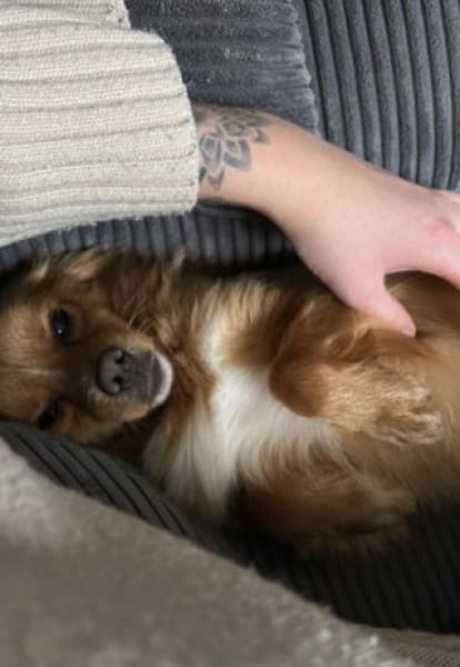 Pippinus ist süß, neugierig und putzig!!