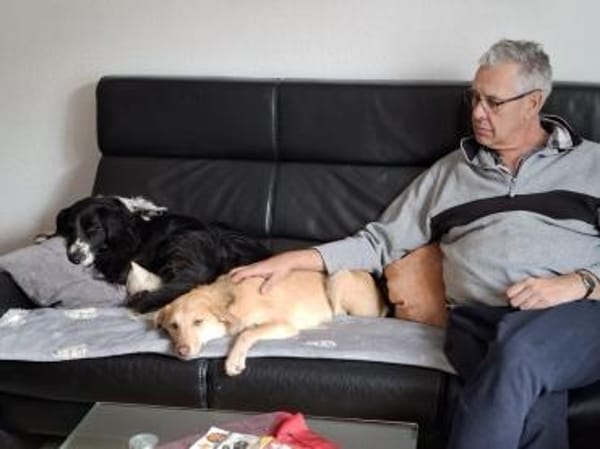 GRETCHEN-zauberhafte Jung-Hündin, 38 cm