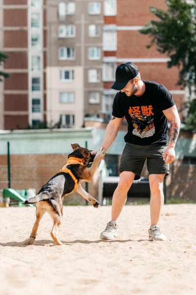 Besondere Deya sucht ihr Zuhause