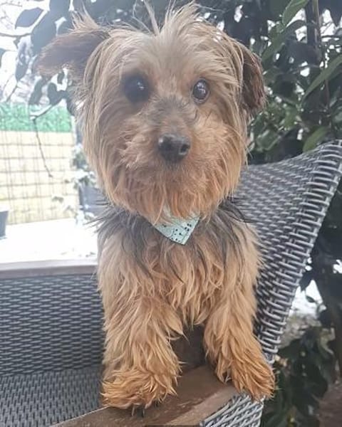 Mischa der kleine Entdecker