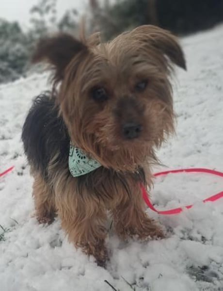 Mischa der kleine Entdecker