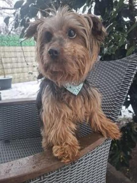 Mischa der kleine Entdecker