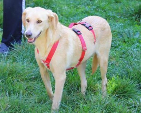 Nemo, leise Seele...