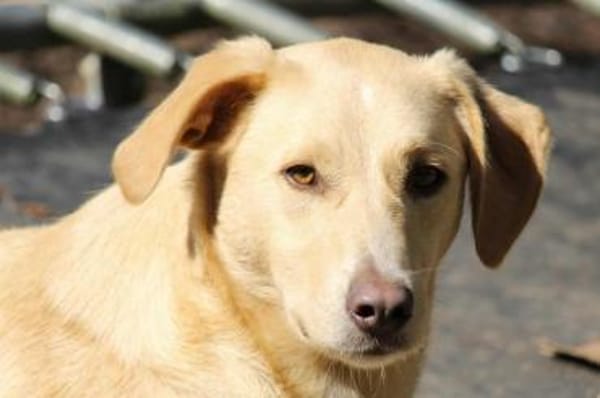 Nemo, leise Seele...