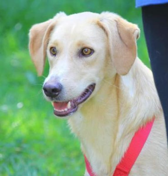 Nemo, leise Seele...