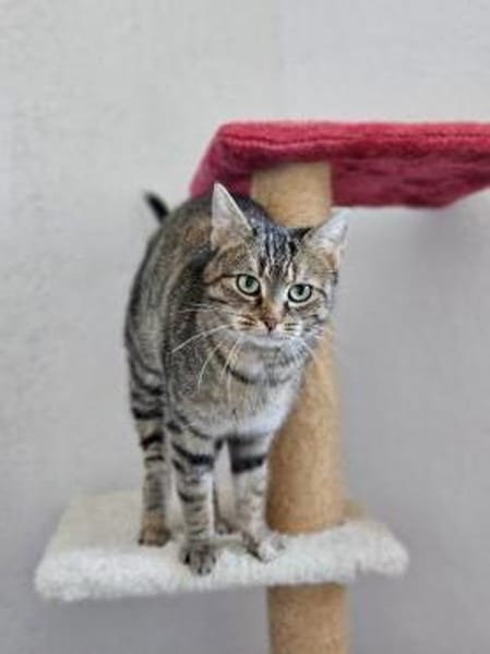 ONI - geb. ca. 05/2020