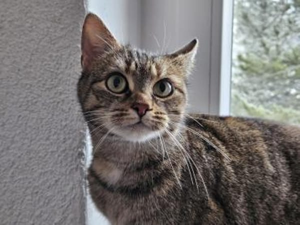 ONI - geb. ca. 05/2020