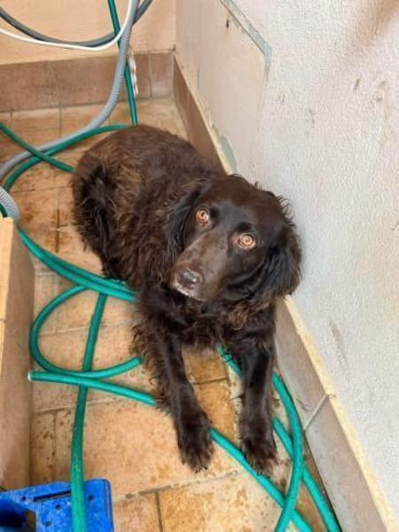 Moka sucht Herzensmenschen