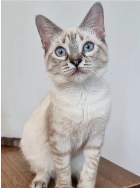 Mira & Marlene - einfach nur süüüß!