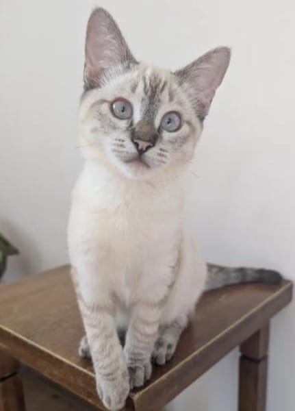 Mira & Marlene - einfach nur süüüß!