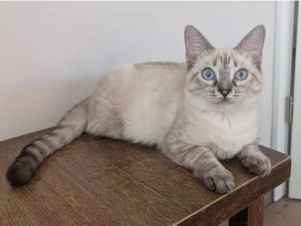 Mira & Marlene - einfach nur süüüß!