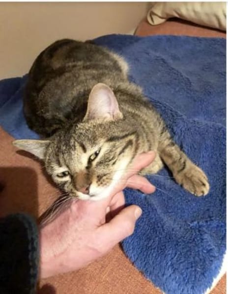 Reina-sozial, menschenbezogen & gutmütig