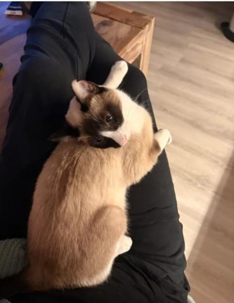 Lilú (mit Piaget)- super süß&bezaubernd