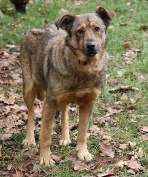 Ferdinand sucht liebevolle Menschen