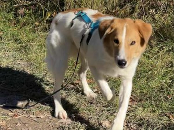 Momo wartet in München!