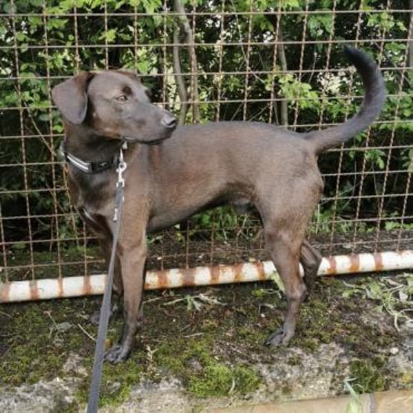 Jimmy braucht ein neues Zuhause