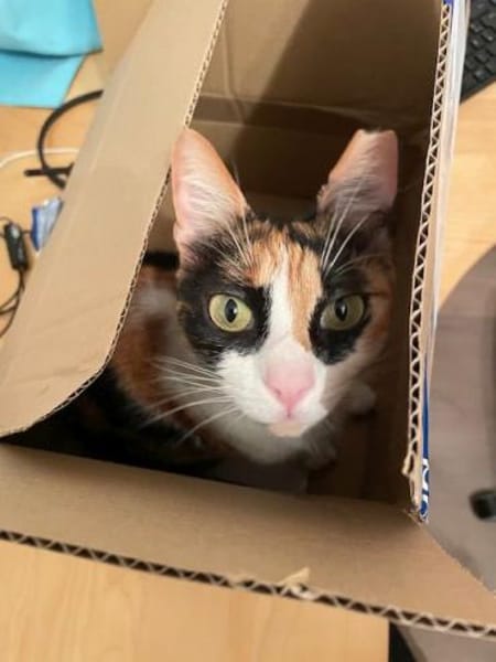 Donna - knuffig und sozial