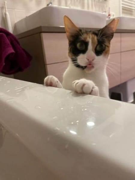 Donna - knuffig und sozial