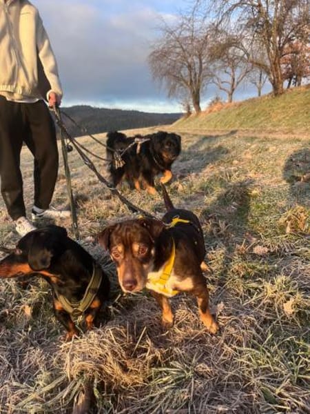 Dotti geht neugierig durchs Leben