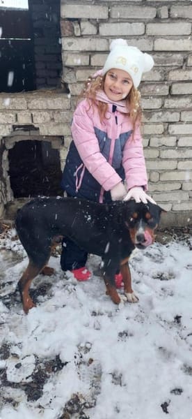 Tobi ein kinderfreundlicher lieber Hund